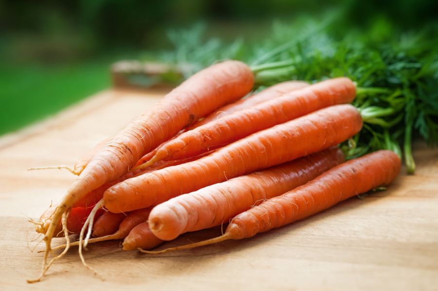 Zanahoria, verdura habitual en una dieta balanceada